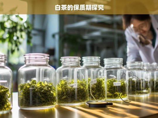 白茶的保质期探究