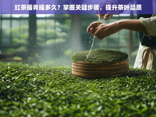 红茶摇青摇多久？掌握关键步骤，提升茶叶品质