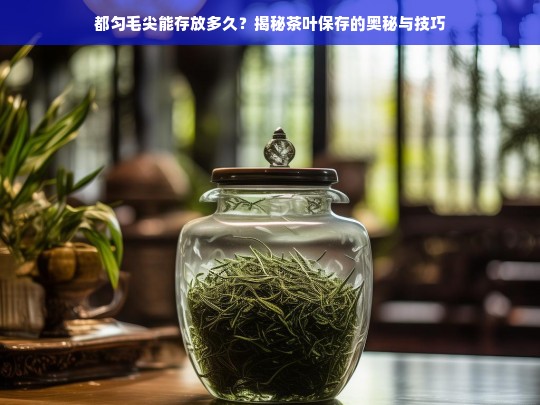 都匀毛尖能存放多久？揭秘茶叶保存的奥秘与技巧