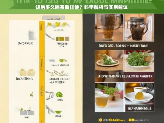 饭后多久喝茶助排便？科学解析与实用建议