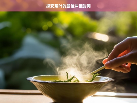 探究茶叶的最佳冲泡时间