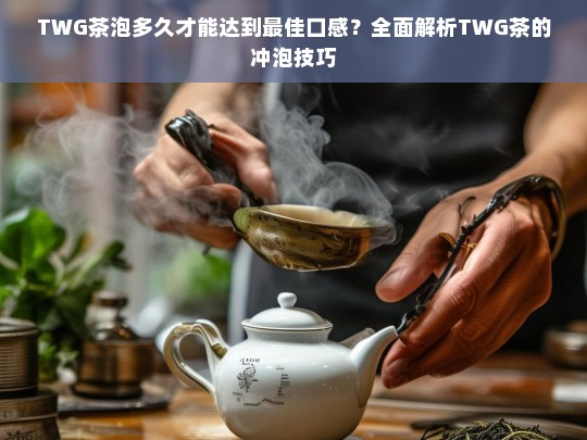 TWG茶泡多久才能达到最佳口感？全面解析TWG茶的冲泡技巧