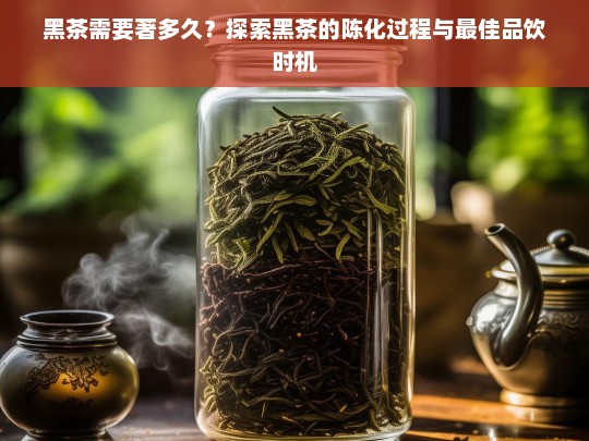 黑茶需要著多久？探索黑茶的陈化过程与最佳品饮时机