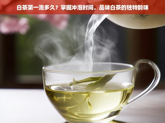 白茶第一泡多久？掌握冲泡时间，品味白茶的独特韵味