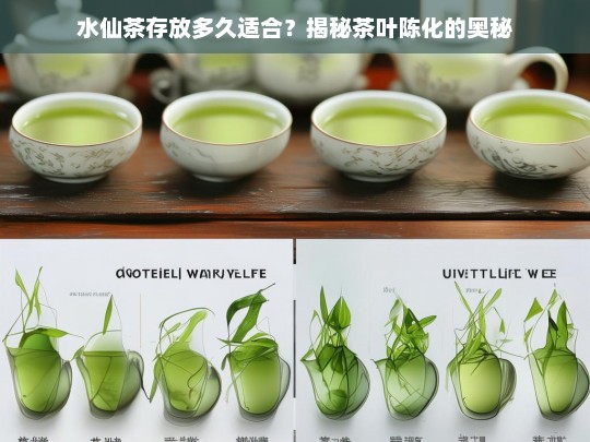 水仙茶存放多久适合？揭秘茶叶陈化的奥秘