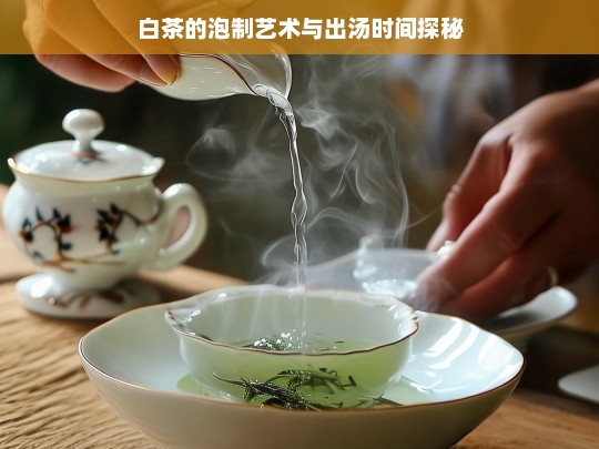 白茶的泡制艺术与出汤时间探秘