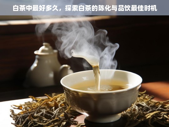 白茶中最好多久，探索白茶的陈化与品饮最佳时机