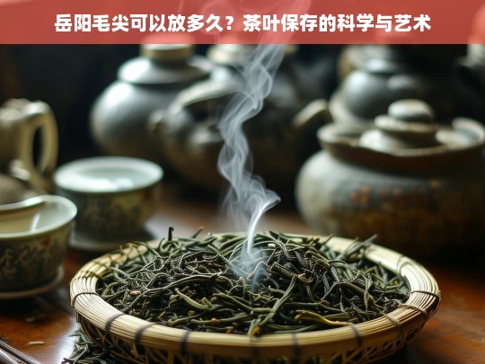 岳阳毛尖可以放多久？茶叶保存的科学与艺术