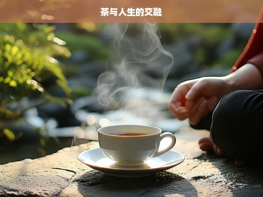 茶与人生的交融