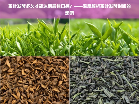 茶叶发酵多久才能达到最佳口感？——深度解析茶叶发酵时间的影响