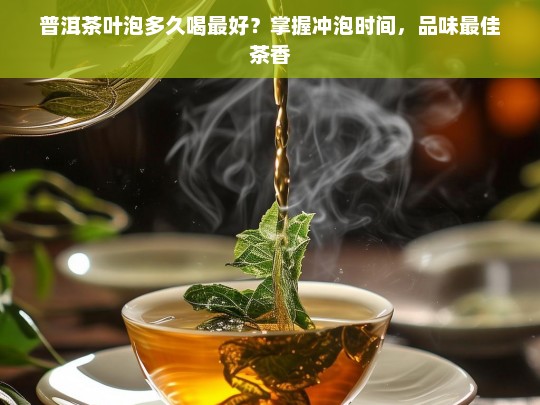 普洱茶叶泡多久喝最好？掌握冲泡时间，品味最佳茶香