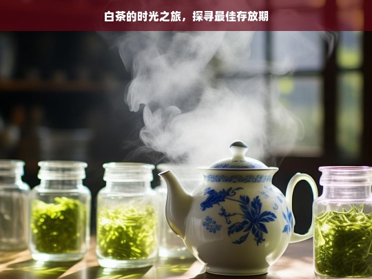 白茶的时光之旅，探寻最佳存放期