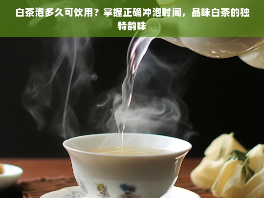 白茶泡多久可饮用？掌握正确冲泡时间，品味白茶的独特韵味