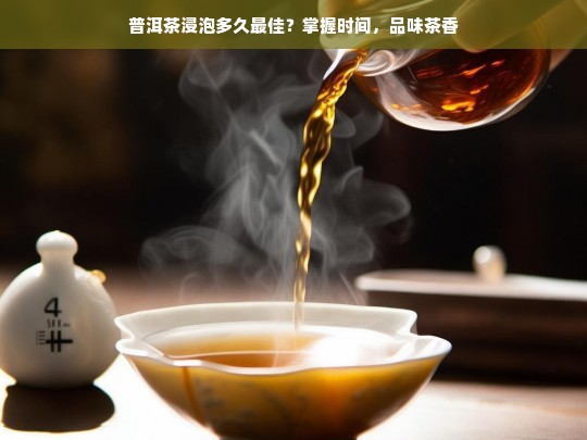 普洱茶浸泡多久最佳？掌握时间，品味茶香