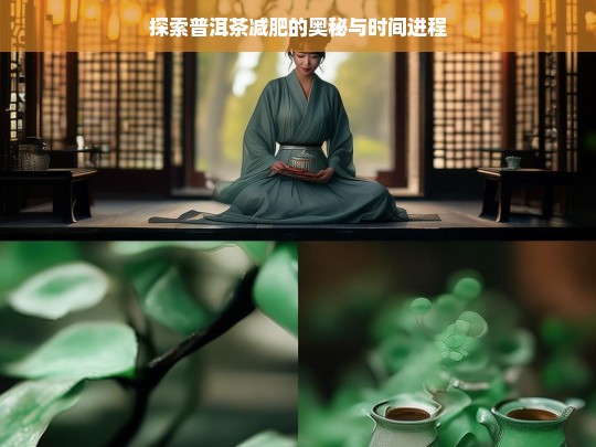 探索普洱茶减肥的奥秘与时间进程