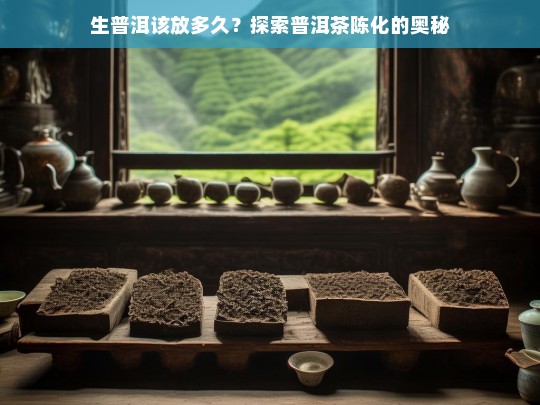 生普洱该放多久？探索普洱茶陈化的奥秘