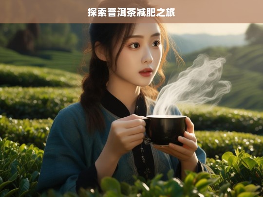 探索普洱茶减肥之旅