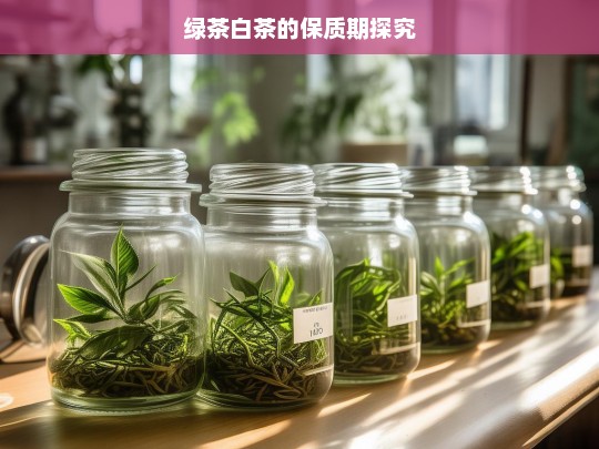 绿茶白茶的保质期探究