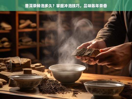 普洱茶砖泡多久？掌握冲泡技巧，品味陈年茶香