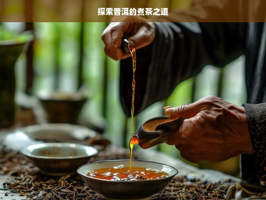 探索普洱的煮茶之道