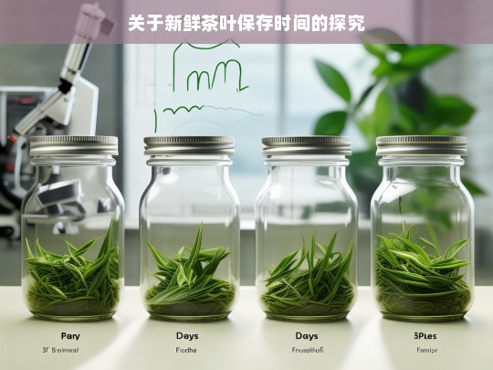 关于新鲜茶叶保存时间的探究