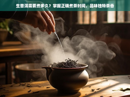 生普洱需要煮多久？掌握正确煮茶时间，品味独特茶香