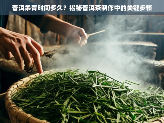 普洱杀青时间多久？揭秘普洱茶制作中的关键步骤