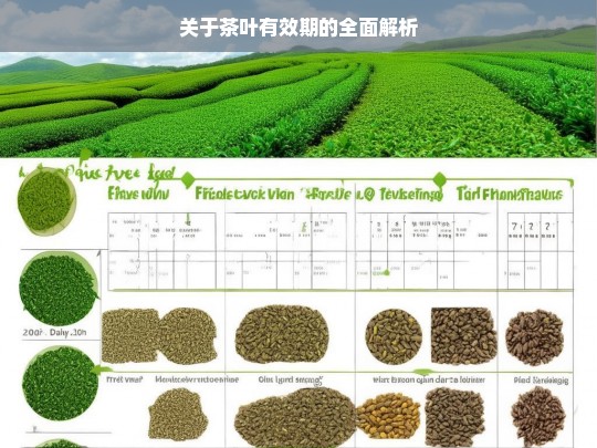 关于茶叶有效期的全面解析