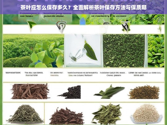 茶叶应怎么保存多久？全面解析茶叶保存方法与保质期