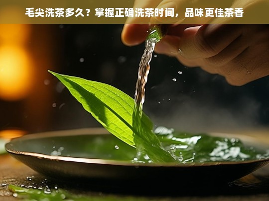 毛尖洗茶多久？掌握正确洗茶时间，品味更佳茶香