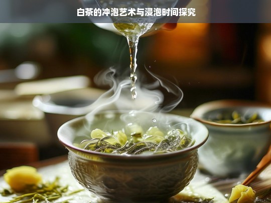 白茶的冲泡艺术与浸泡时间探究