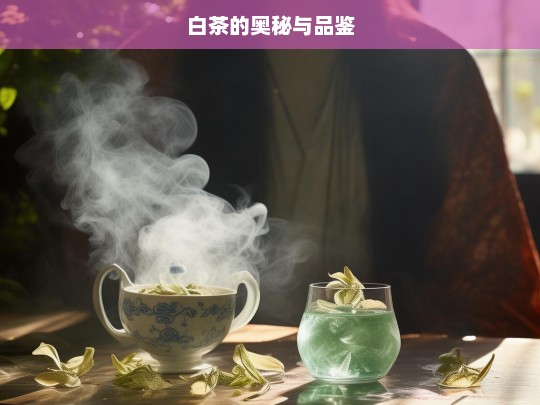 白茶的奥秘与品鉴