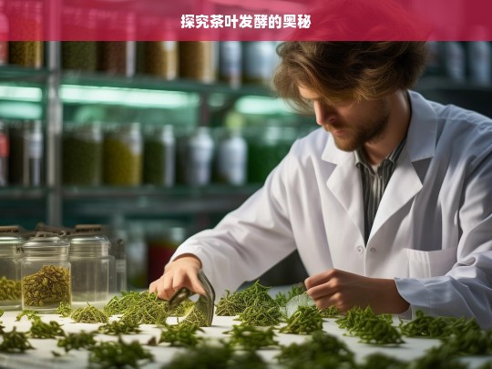 探究茶叶发酵的奥秘