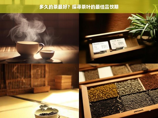 多久的茶最好？探寻茶叶的最佳品饮期