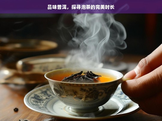 品味普洱，探寻泡茶的完美时长