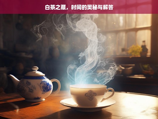 白茶之藏，时间的奥秘与解答