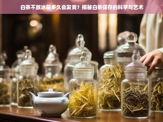 白茶不放冰箱多久会发黄？揭秘白茶保存的科学与艺术