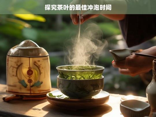 探究茶叶的最佳冲泡时间