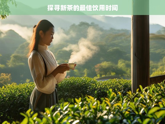 探寻新茶的最佳饮用时间