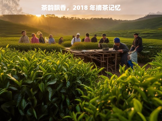 茶韵飘香，2018 年摘茶记忆