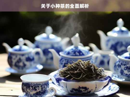 关于小种茶的全面解析