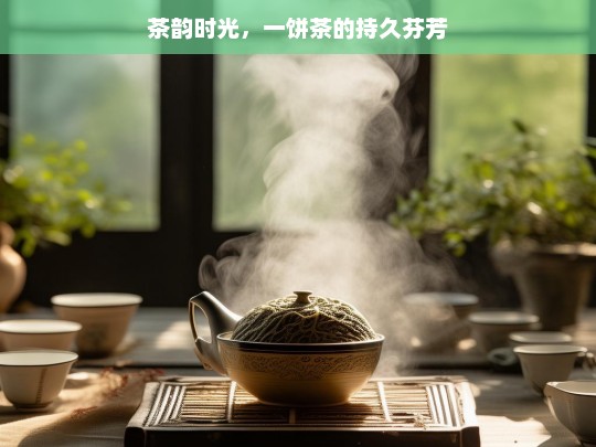 茶韵时光，一饼茶的持久芬芳