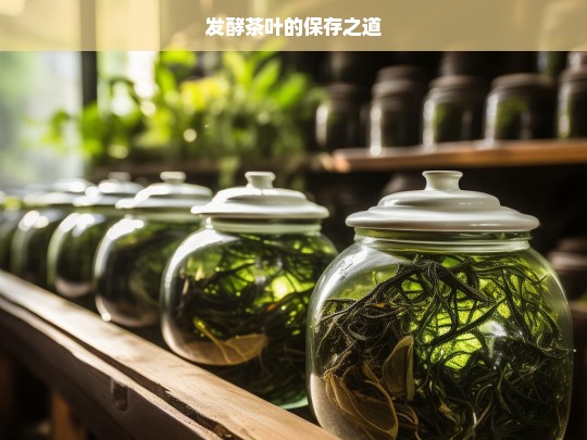 发酵茶叶的保存之道