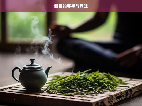 新茶的等待与品味