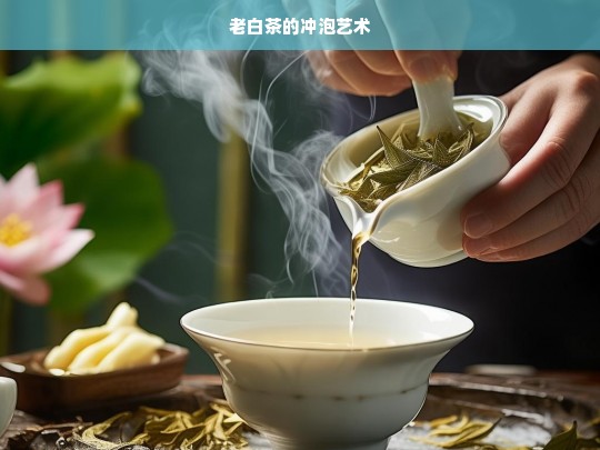 老白茶的冲泡艺术