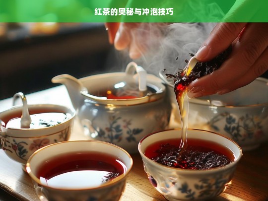 红茶的奥秘与冲泡技巧