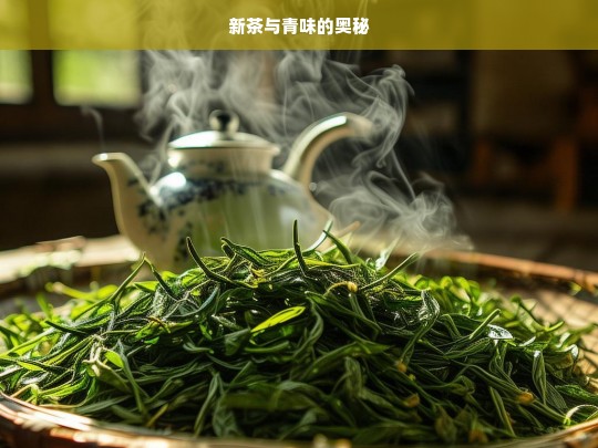 新茶与青味的奥秘