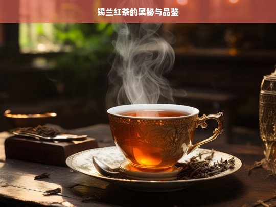 锡兰红茶的奥秘与品鉴