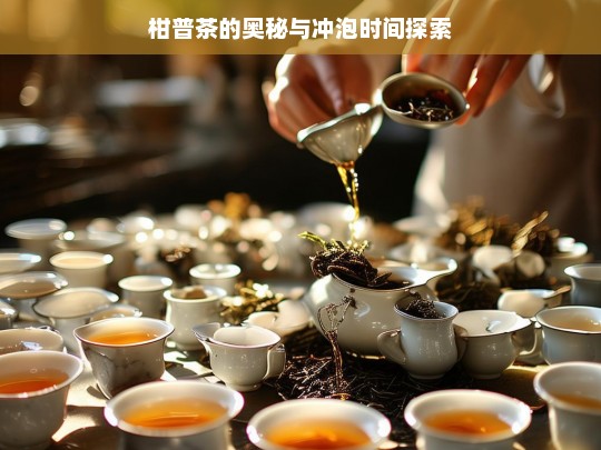 柑普茶的奥秘与冲泡时间探索