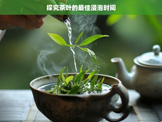 探究茶叶的最佳浸泡时间